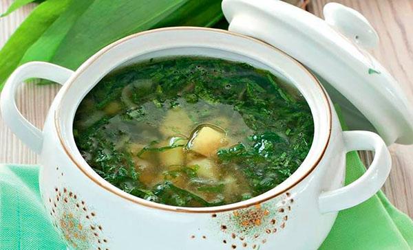soup with wild garlic