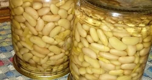 beans without sterilization