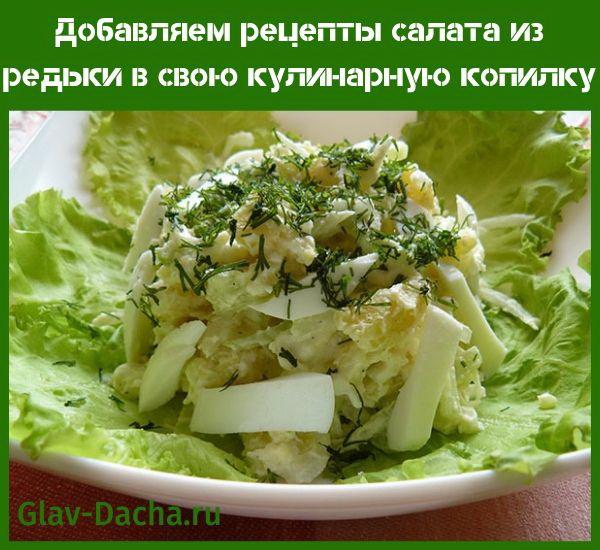 ridikėlių salotų receptai