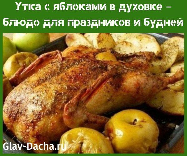 duck with apples in the oven