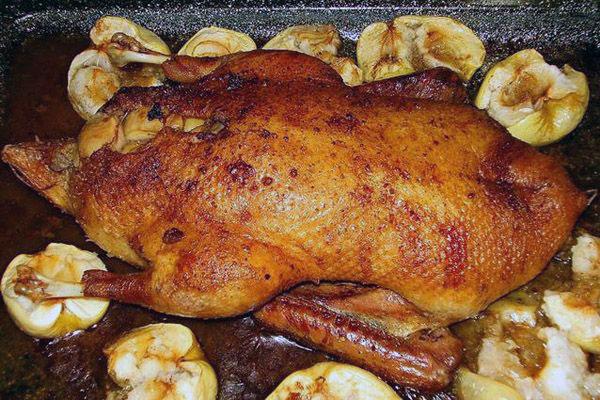 juicy duck with apples in the oven