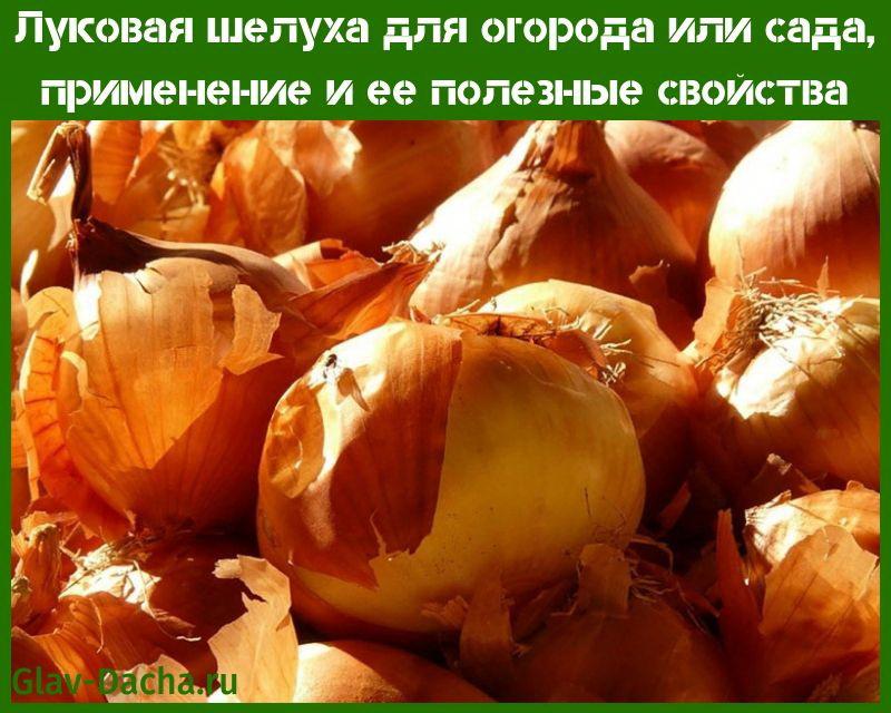 onion peel for vegetable garden or garden use