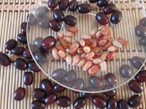 užitočné vlastnosti a kontraindikácie semien drieňa