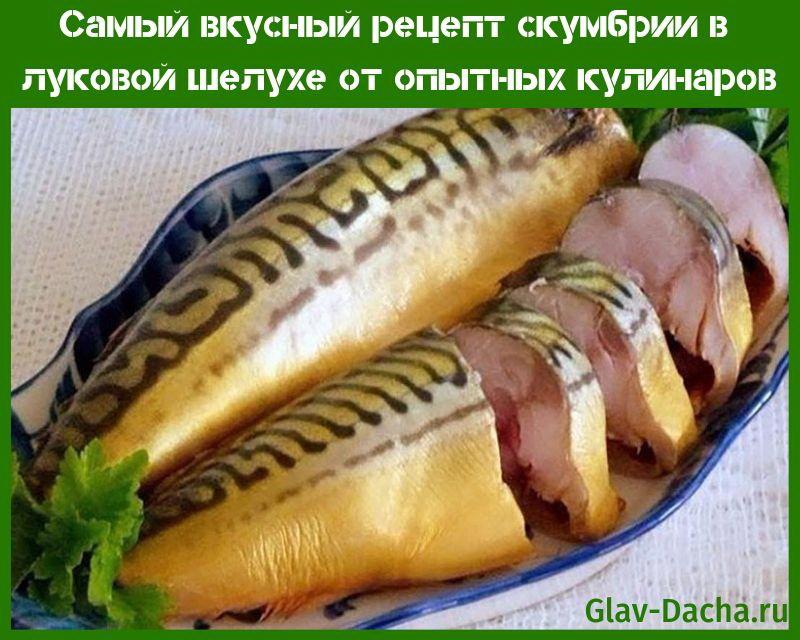 nejchutnější recept na makrelu v cibulové kůži