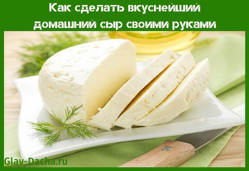 domácí sýr