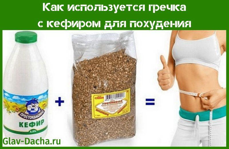 trigo sarraceno com kefir para perda de peso