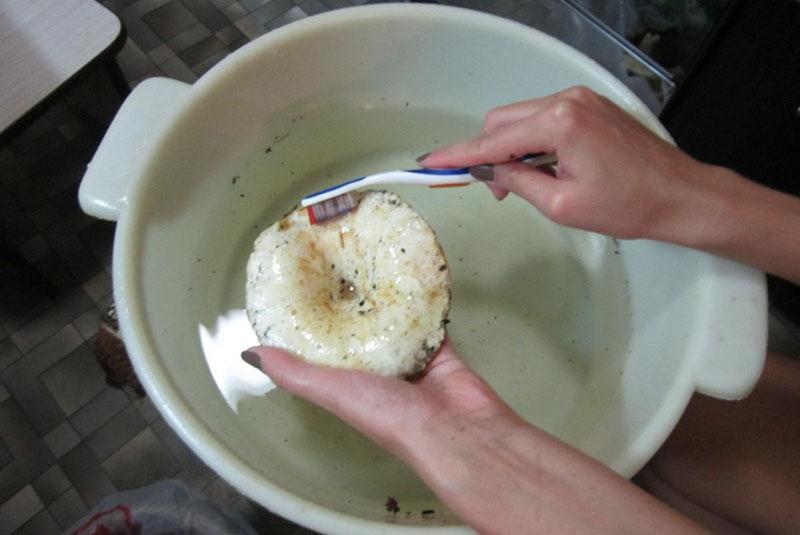 příprava hub na solení