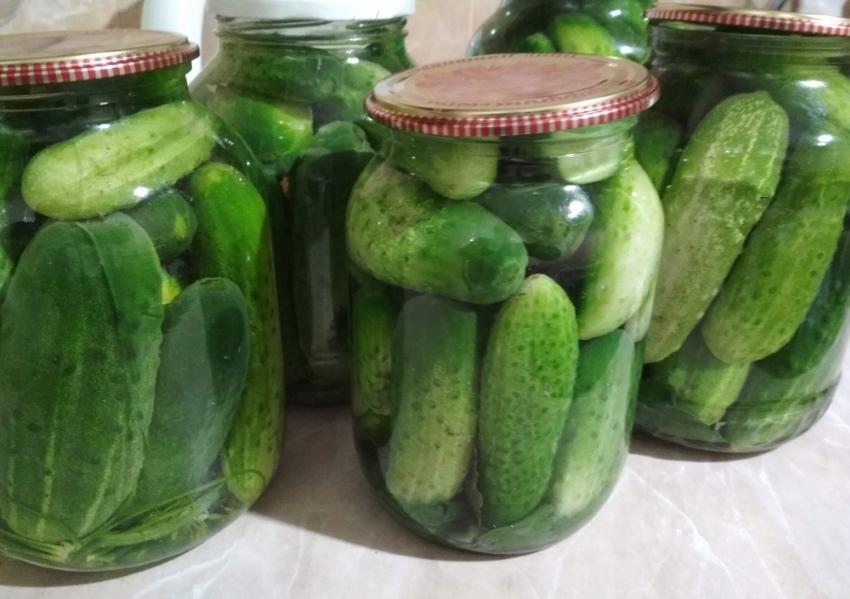 cucumbers without sterilization