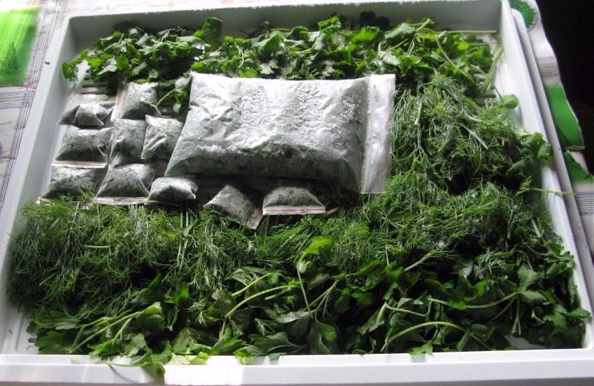 วิธีการแช่แข็งผักใบเขียวสำหรับฤดูหนาว
