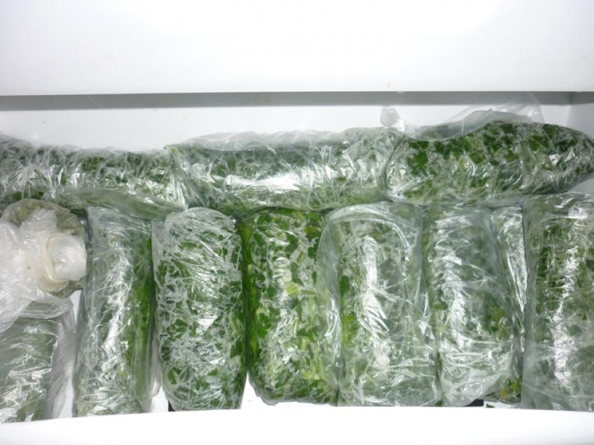 légumes verts congelés