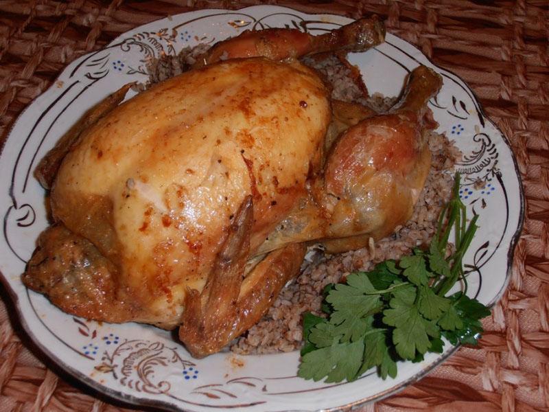 klasična punjena piletina