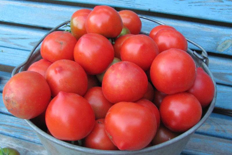 ецване на домати