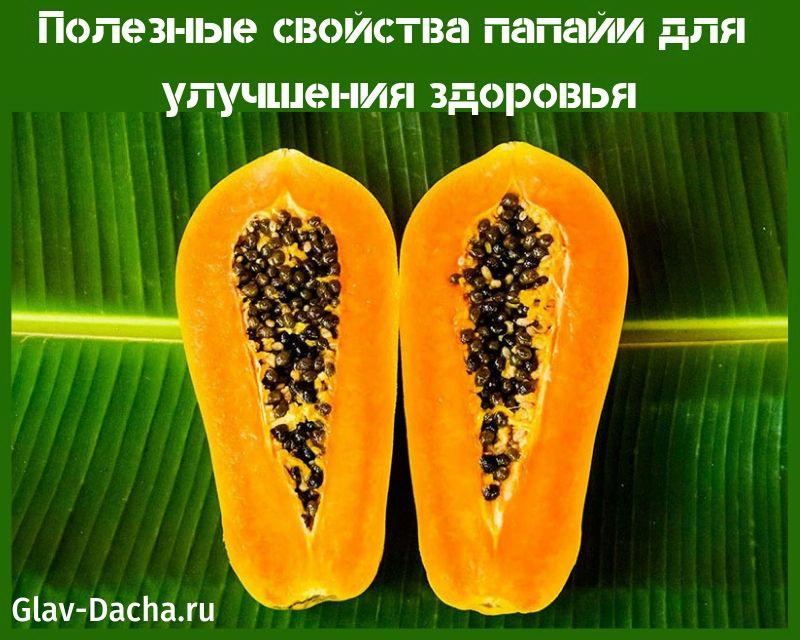 papaijan hyödylliset ominaisuudet