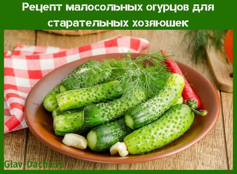 recipe for salted cucumbers