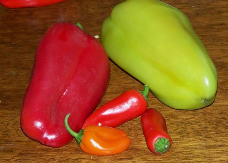syltende pepper