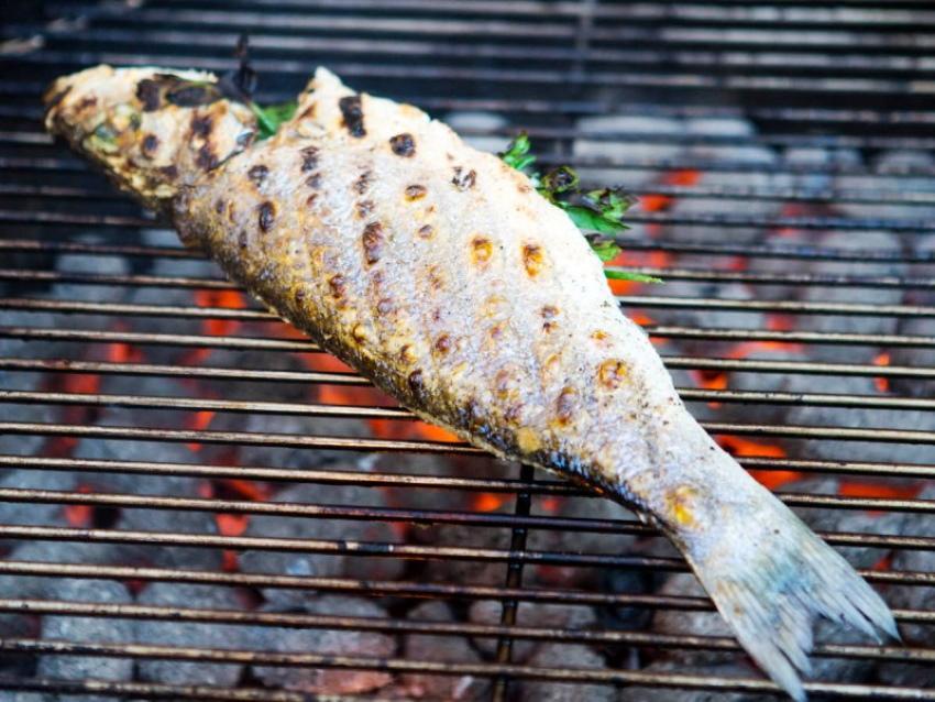 hoeveel vis te grillen