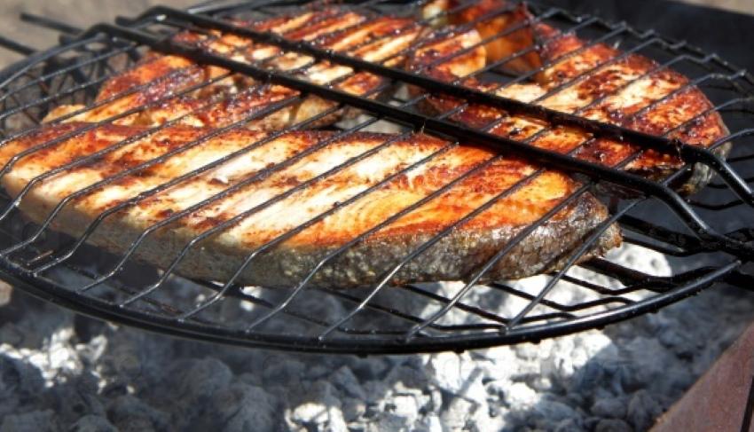 grilled fish steaks