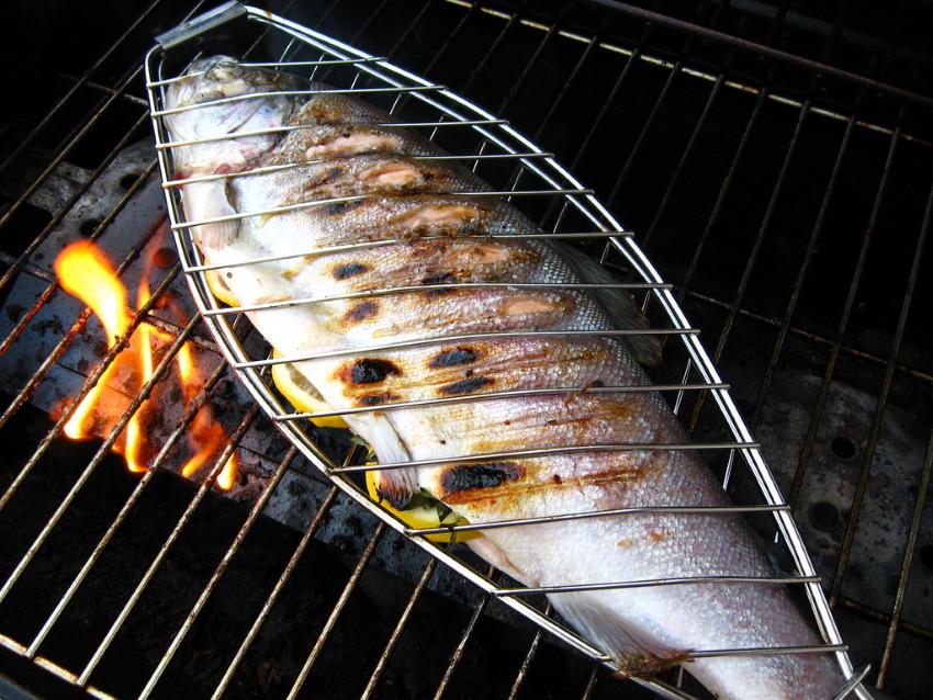 grilovaná ryba