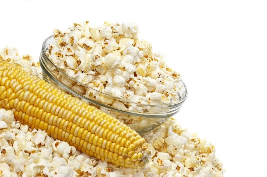 popcorn a kukuřice