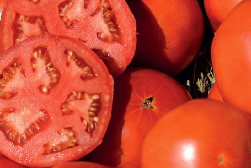 домати плодове нарязани