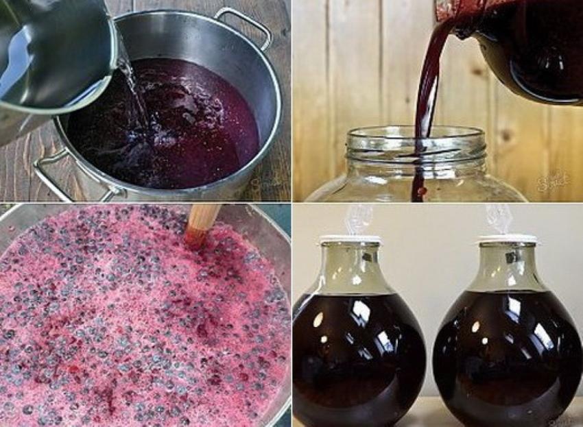 v akom jedle môžete pripraviť hroznové víno