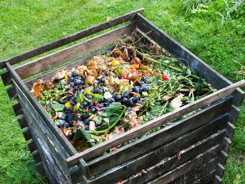 what can be put in the compost heap