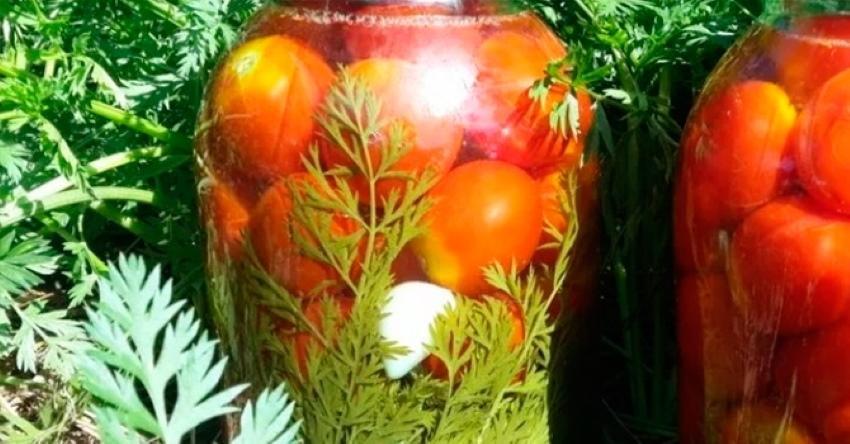 hoe tomaten te zouten met worteltoppen