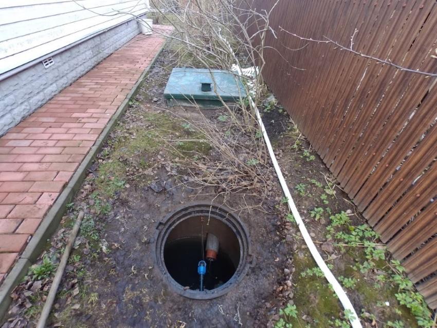 where can you drain the water from the septic tank