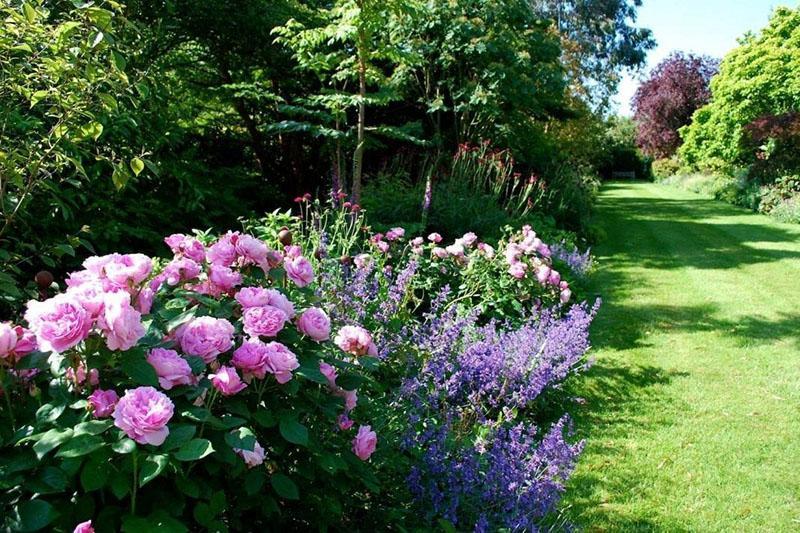 caratteristiche del giardino inglese