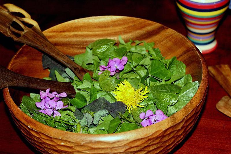 jedlý květinový salát