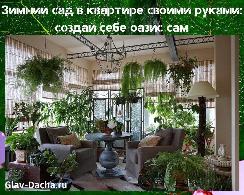 winter garden in the apartment with your own hands