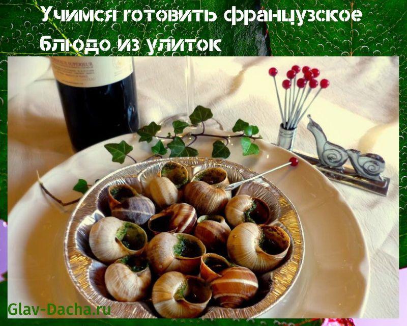 french snail dish