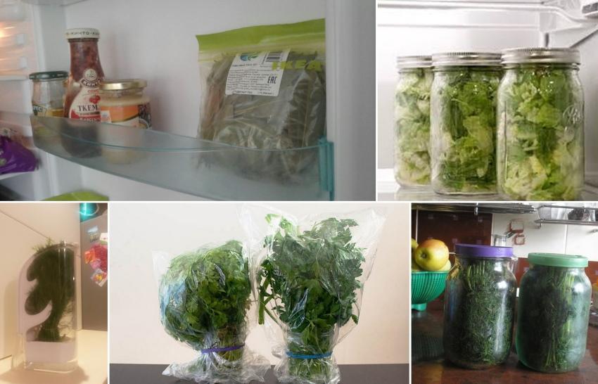 wie man Grüns lange im Kühlschrank aufbewahrt