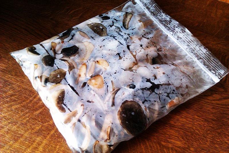 cogumelos congelados em um saco