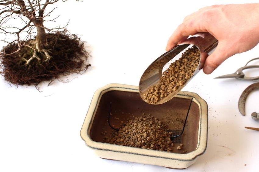 what soil is needed for bonsai