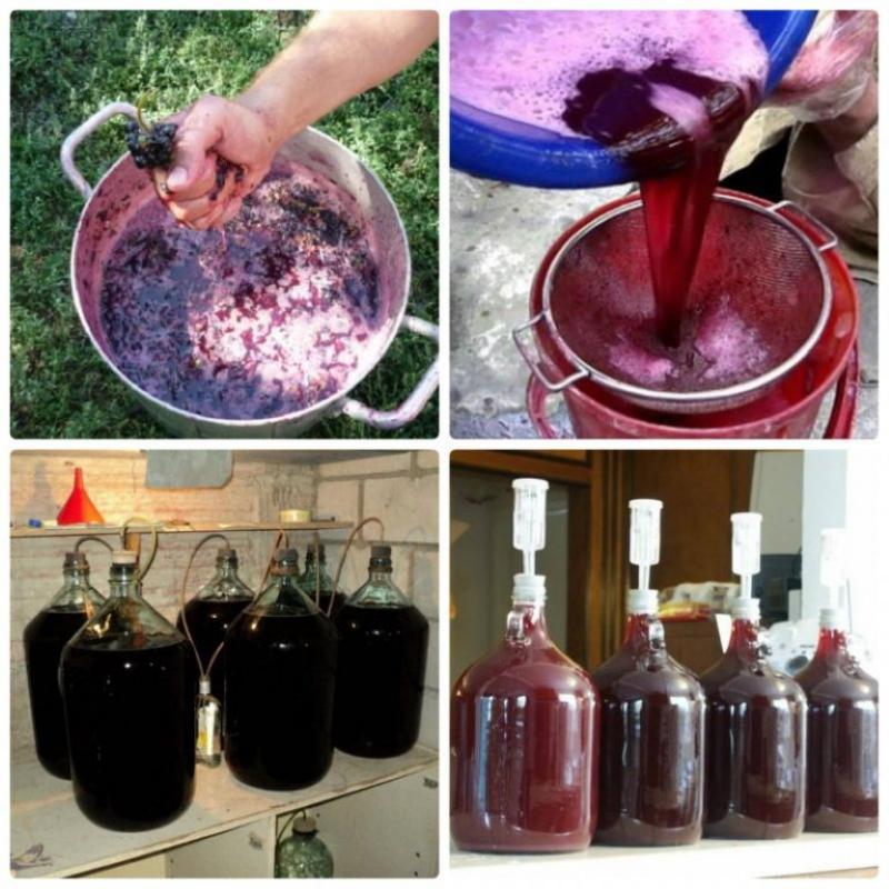 how to make grape wine