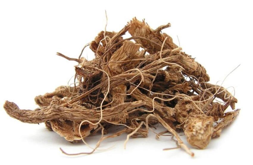 sušené kořeny elecampanu