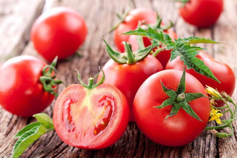 tomaten profiteren en schade