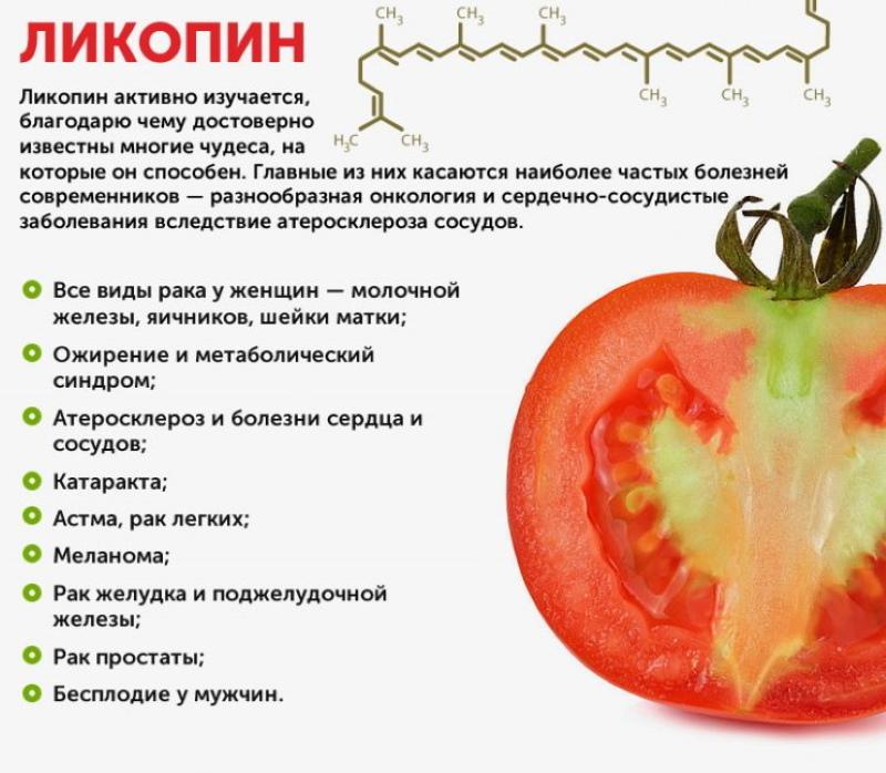 användbara egenskaper hos tomater