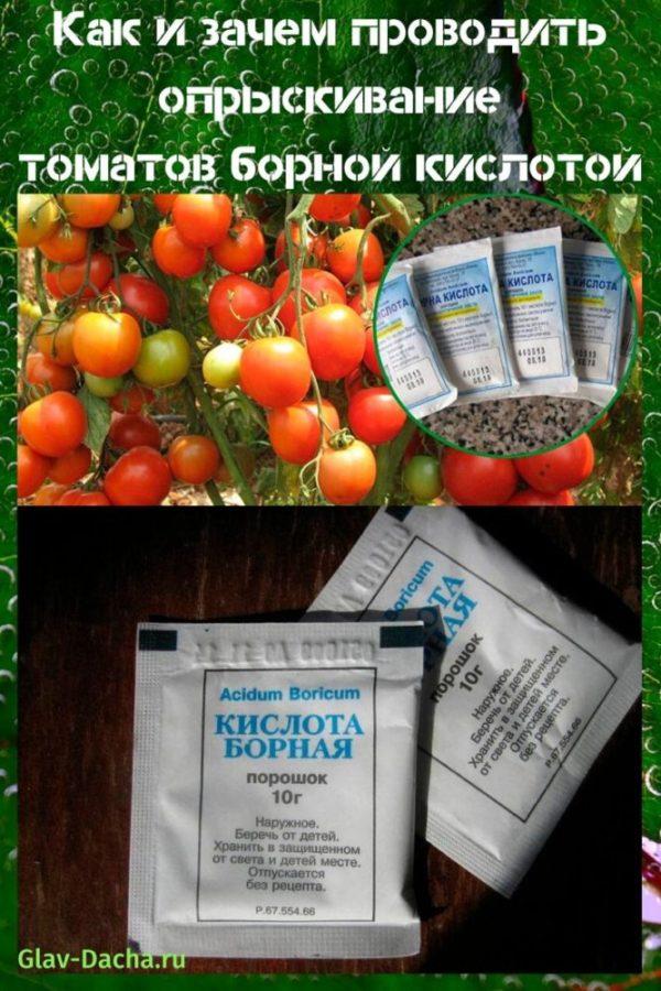 pulvériser des tomates avec de l'acide borique