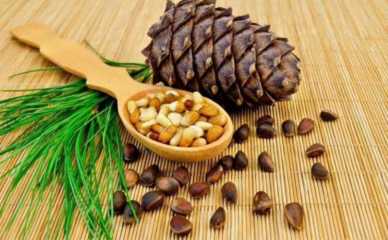 hälsofördelar med pinjenötter