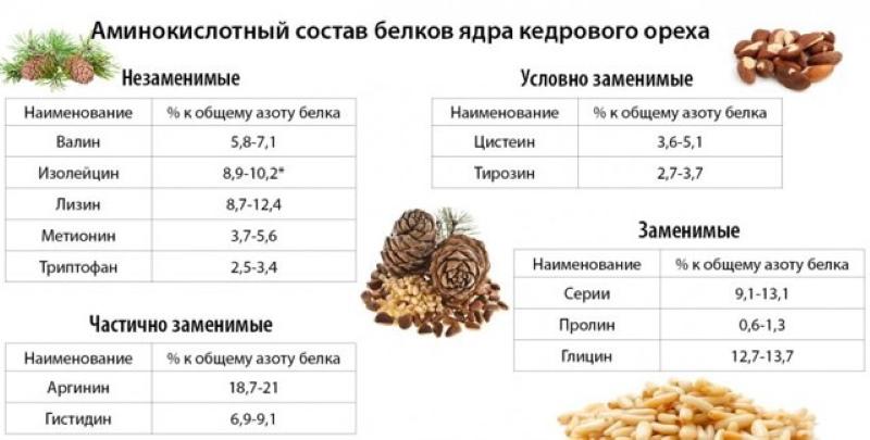 composition of pine nuts