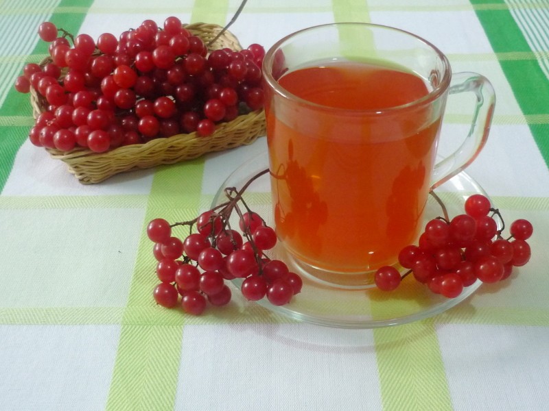 medicinal tea with viburnum
