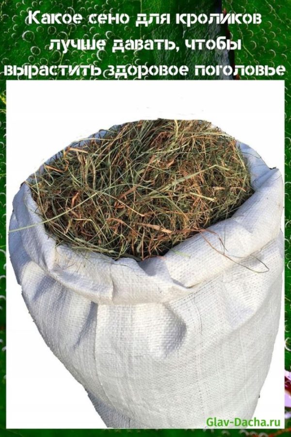 which hay for rabbits is better