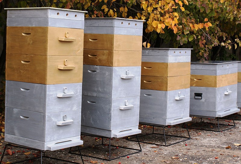 DIY Mehrkörper-Bienenstöcke