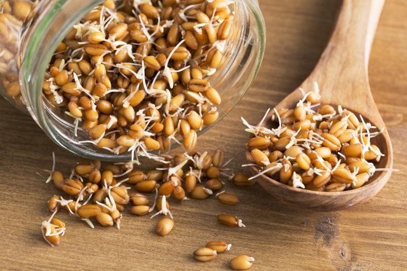 benefici e danni al germe di grano
