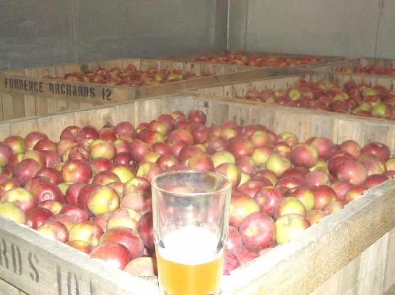 apples for wine
