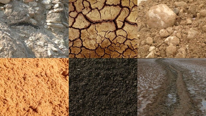 soorten bodems en hun kenmerken in termen van mechanische samenstelling