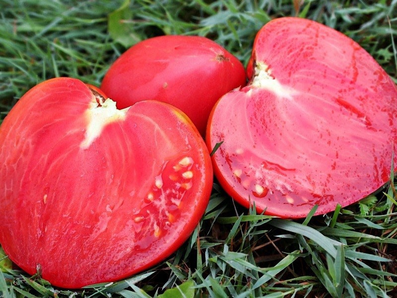 tomate cortado cardeal