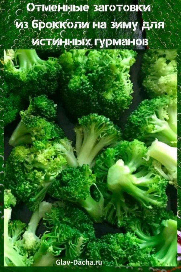 preparazioni di broccoli per l'inverno
